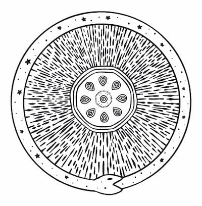 Stylized mandala or ouroboros with floral center, radiating lines, stars in Lessons From the Ouroboros