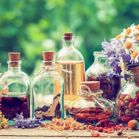 How to Bring Forest Bathing into Your Home Goddess Provisions