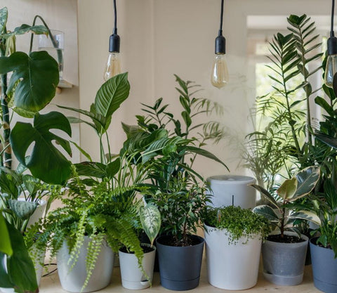Transforming Your Home Into A Sacred Space