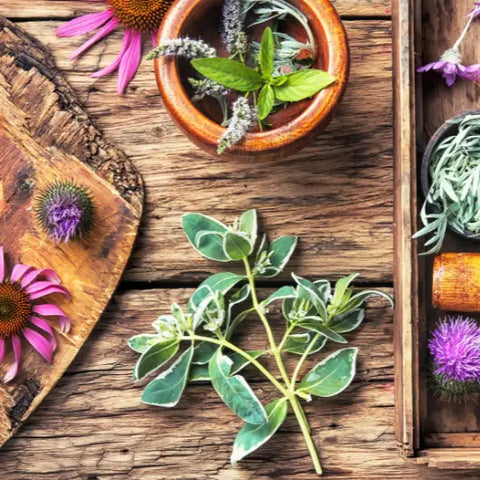Using Spagyrics to Go Deeper with Plants  by Goddess Provisions