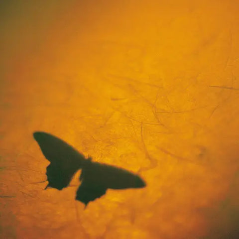 7 Ways to Work With Your Shadow Goddess Provisions