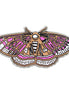 Moth Enamel Pin in 4 Colors