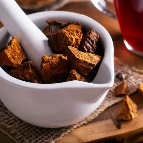 The Magic of Medicinal Mushrooms Goddess Provisions