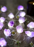 Amethyst Fairy Lights