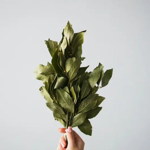 Herbs For Spellwork by Goddess Provisions