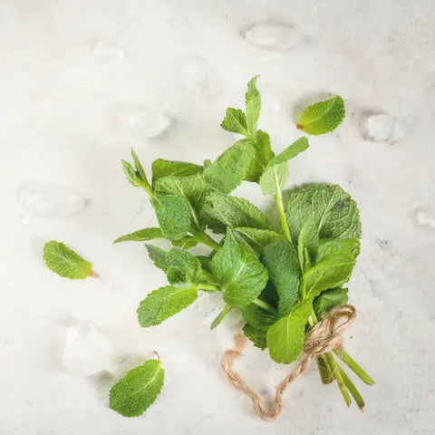 The Best Ingredients for You (and the Earth) by Goddess Provisions