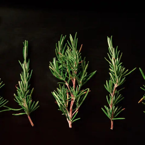 Herbs For Spellwork by Goddess Provisions