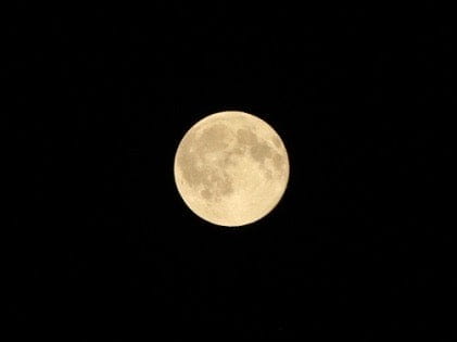 Bright pale yellow Moon shining against a dark sky for Ostara and Spring celebration