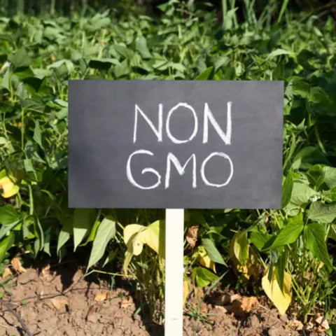 The Best Ingredients for You (and the Earth) by Goddess Provisions