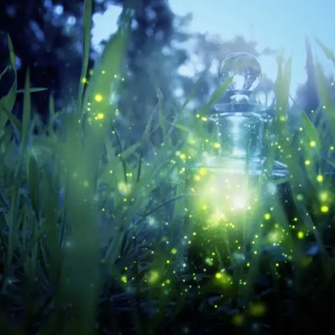 How to Feel Like a Faerie