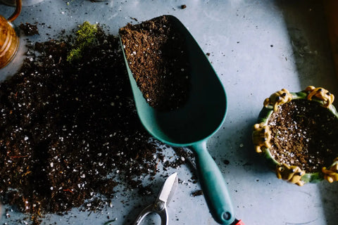 Green gardening scoop filled with soil for planting in your garden or practice