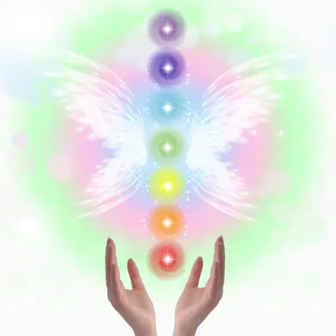 Root to Rise - A Yogini's Journey Through the Lower Chakras Goddess Provisions