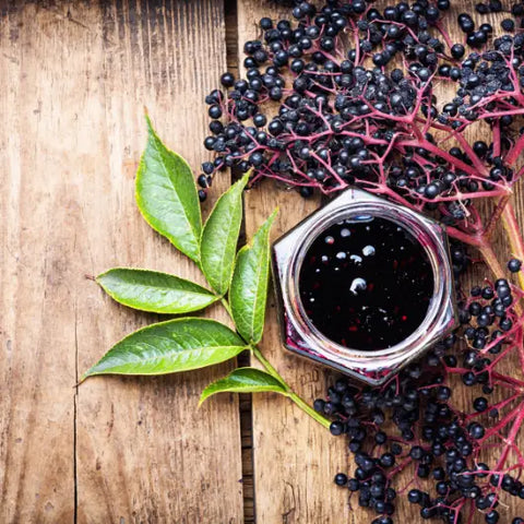 Easy DIY Tonic for Your Immune System Goddess Provisions