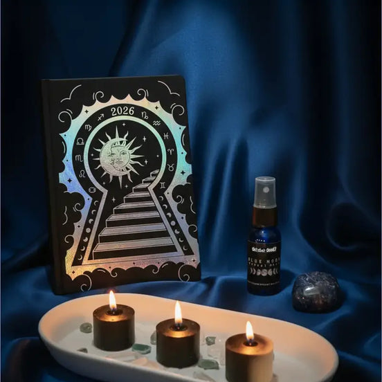 Lunar Living Bundle - Black Vegan Leather