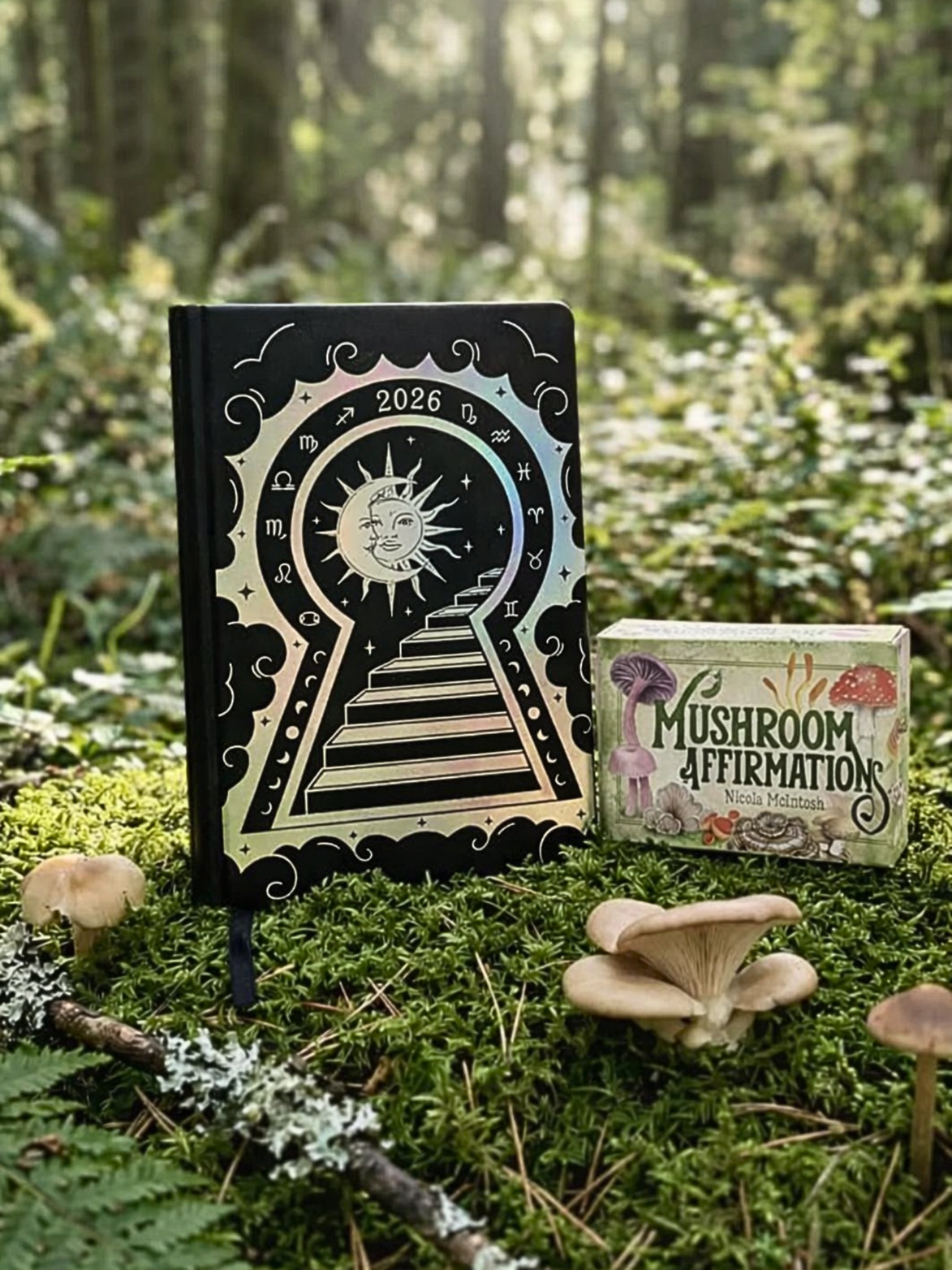 Manifestation Mindset Bundle