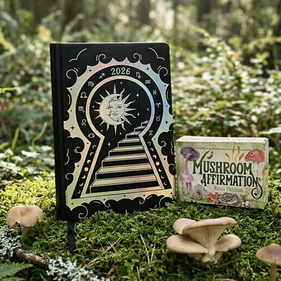 Manifestation Mindset Bundle