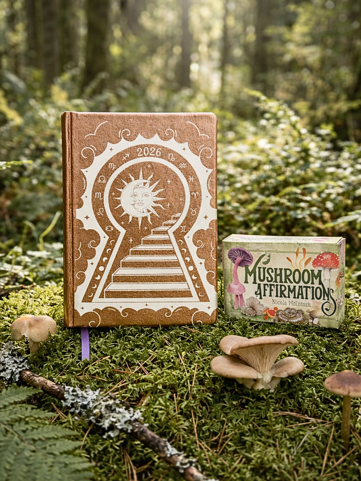 Manifestation Mindset Bundle
