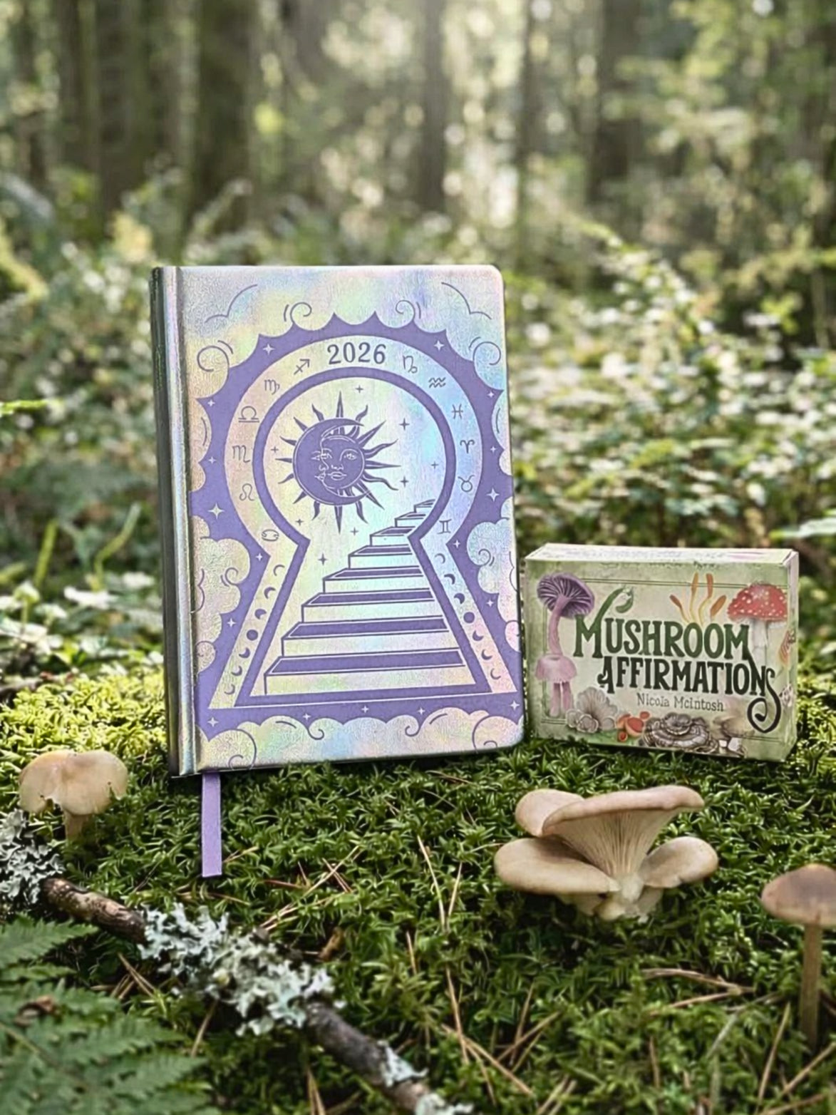 Manifestation Mindset Bundle