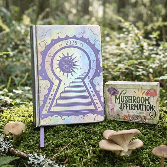Manifestation Mindset Bundle