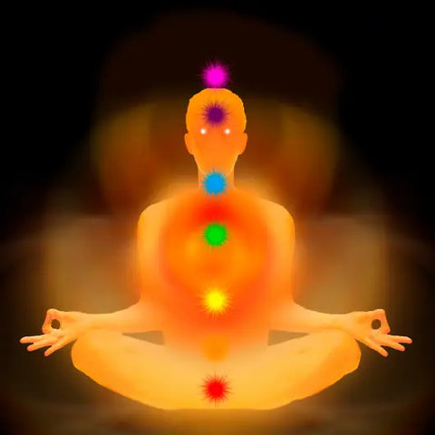 Root to Rise - A Yogini's Journey Through the Lower Chakras Goddess Provisions
