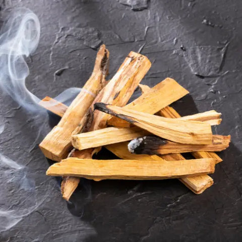 The Magic of Palo Santo Goddess Provisions