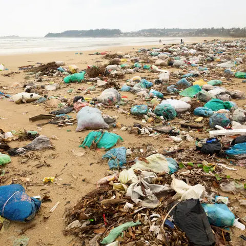 Help Keep Trash Out our Our Oceans by Goddess Provisions