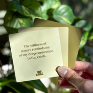 Realign with your inner peace and clear your mind Grounding Shower affirmations