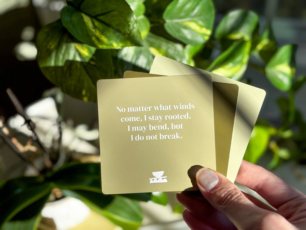 Realign with your inner peace and clear your mind Grounding Shower affirmations