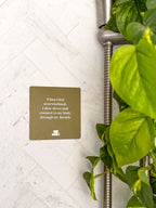 Realign with your inner peace and clear your mind Grounding Shower affirmations