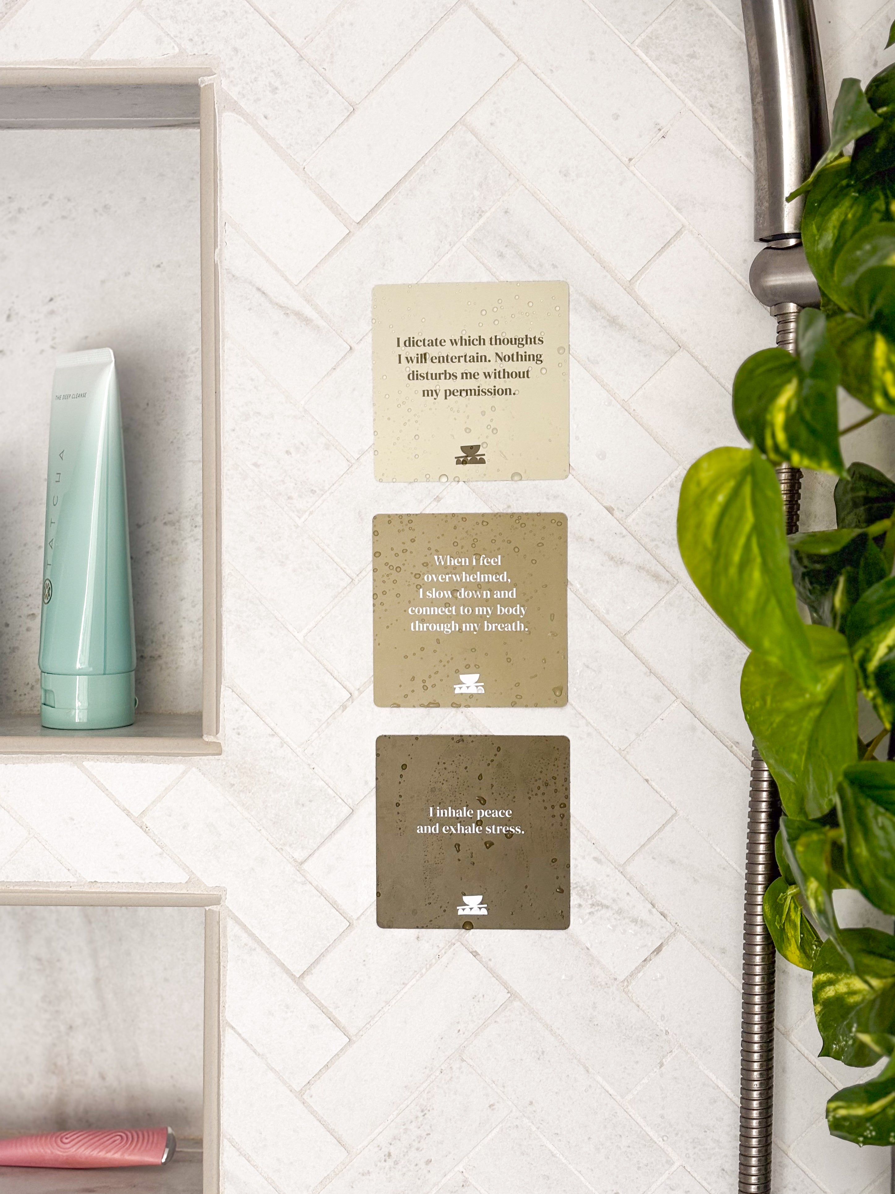 Realign with your inner peace and clear your mind Grounding Shower affirmations