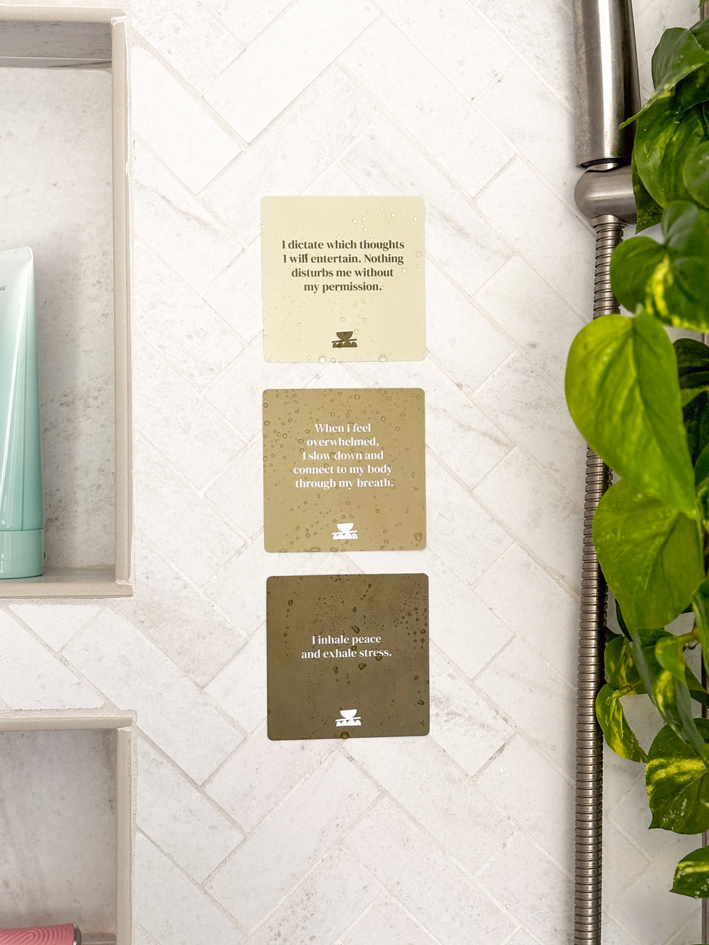 Realign with your inner peace and clear your mind Grounding Shower affirmations