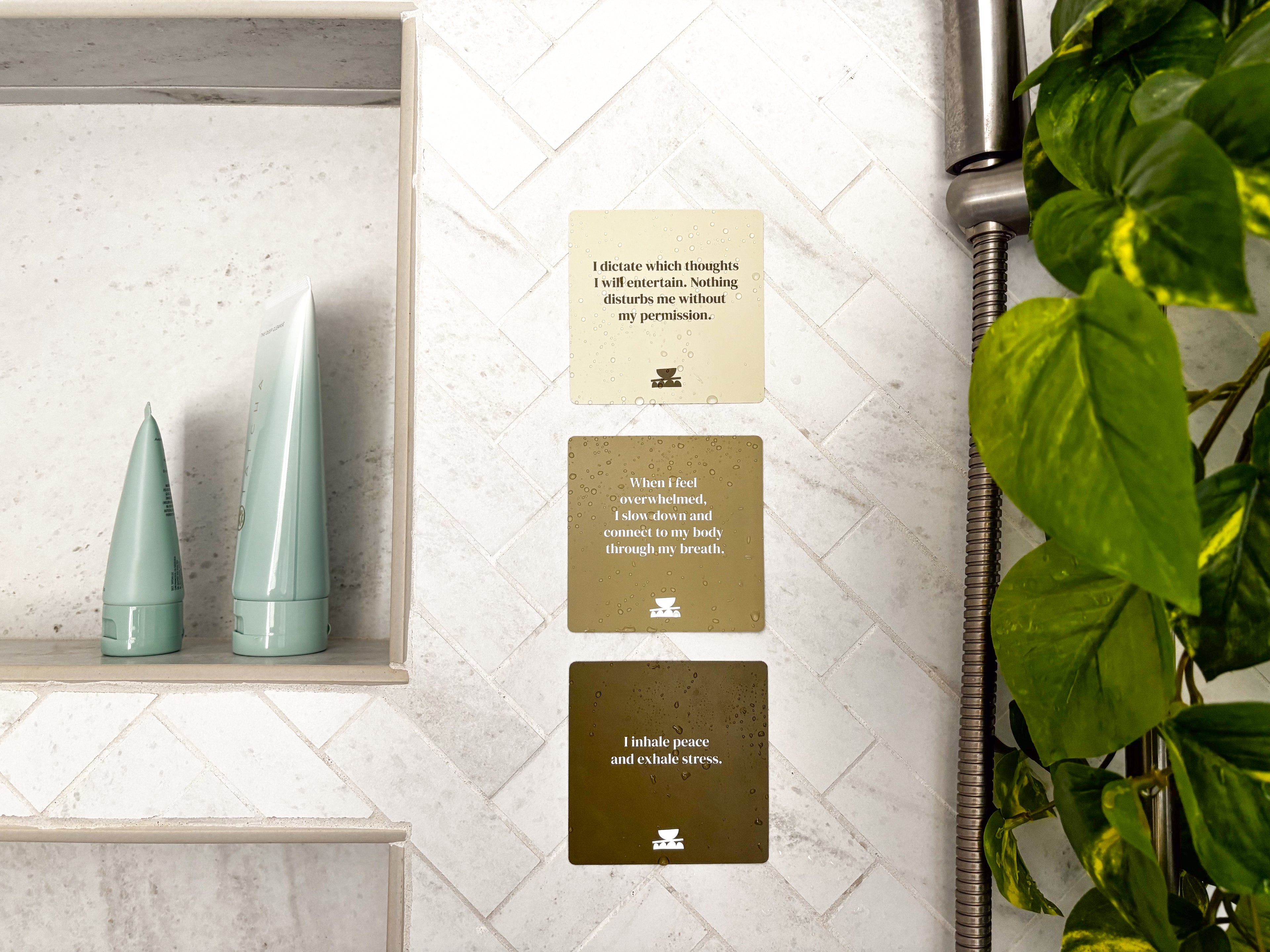 Realign with your inner peace and clear your mind Grounding Shower affirmations