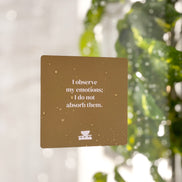 Realign with your inner peace and clear your mind Grounding Shower affirmations