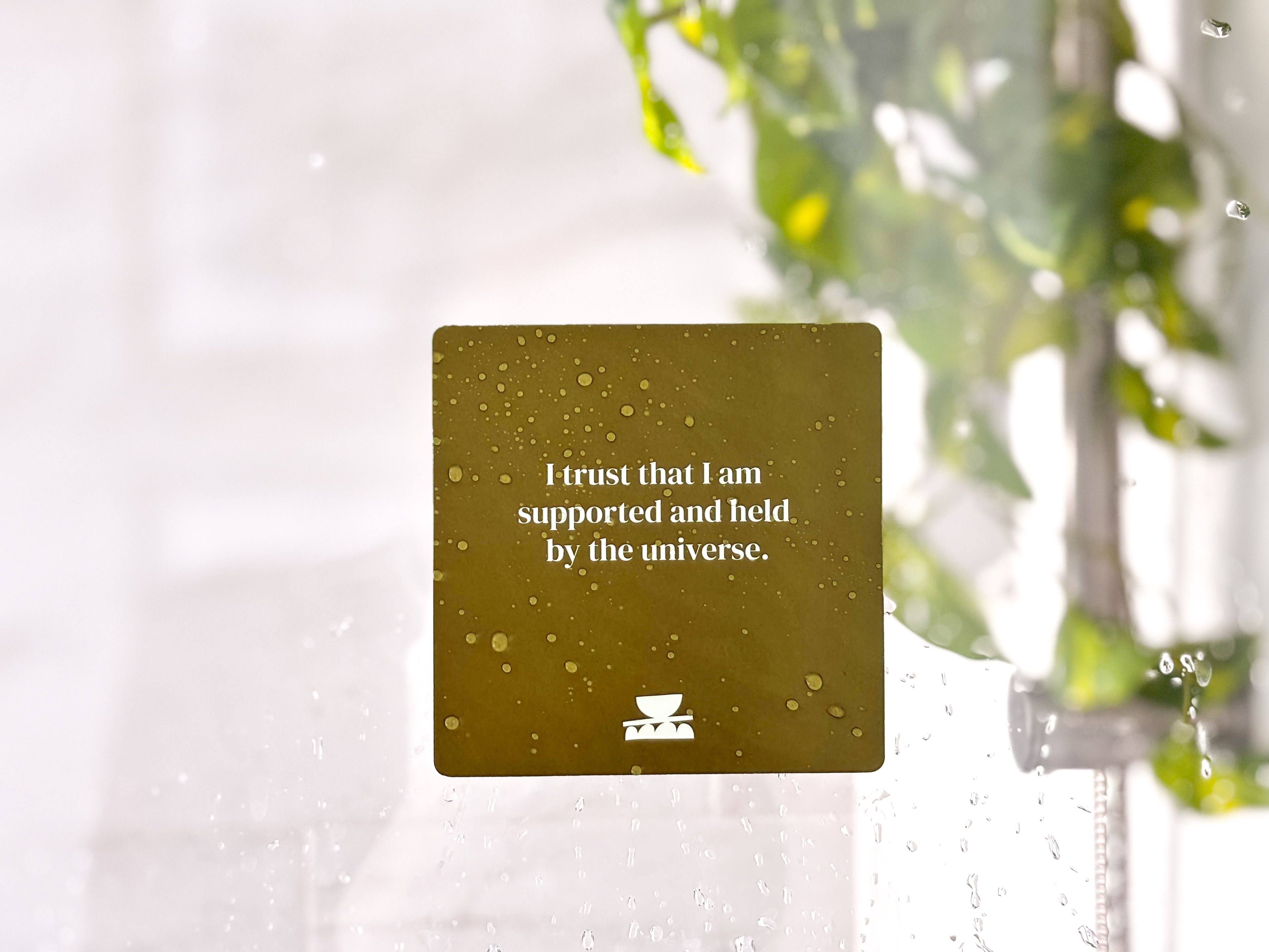 Realign with your inner peace and clear your mind Grounding Shower affirmations