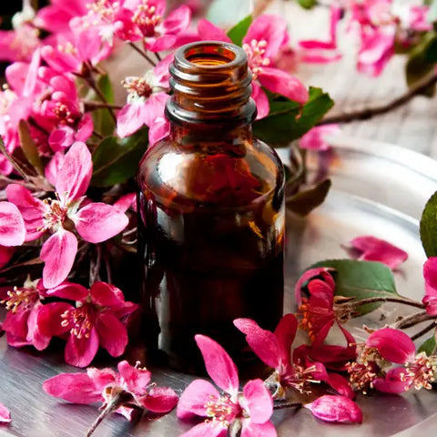 The Magic Behind Flower Essences Goddess Provisions
