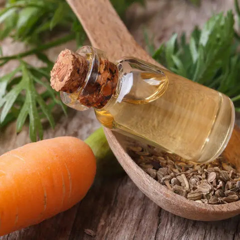Herbal Allies for Your Skin Goddess Provisions