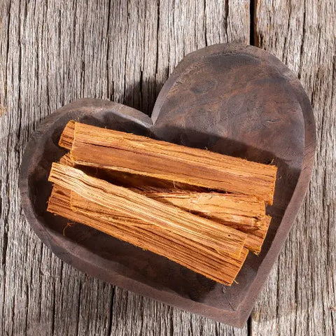 The Magic of Palo Santo Goddess Provisions