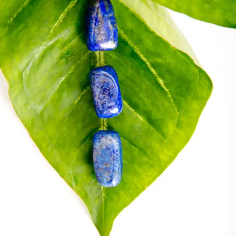 An Empath's Must Have Crystals by Goddess Provisions