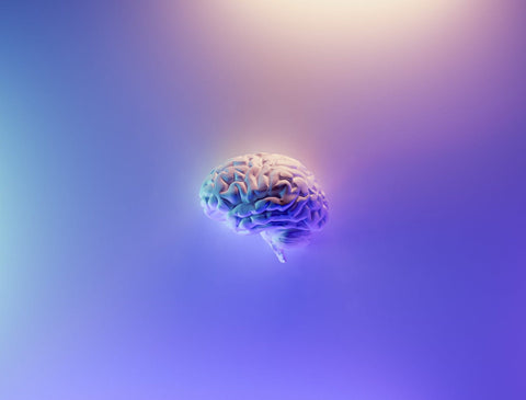 Translucent glowing human brain model illustrating brain health and energy restoration