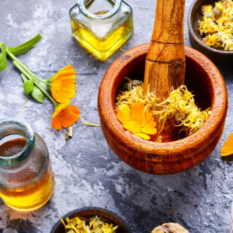 6 Herbs Known to Boost Collagen Goddess Provisions