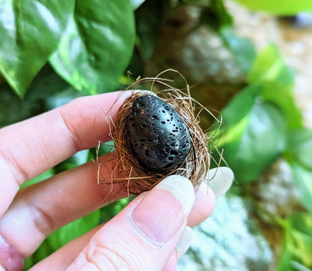 Black Lava Stone Thinking Egg, healing crystal, photo 5
