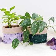 Fabric Plant Pot Holder Goddess Provisions