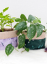 Fabric Plant Pot Holder Goddess Provisions