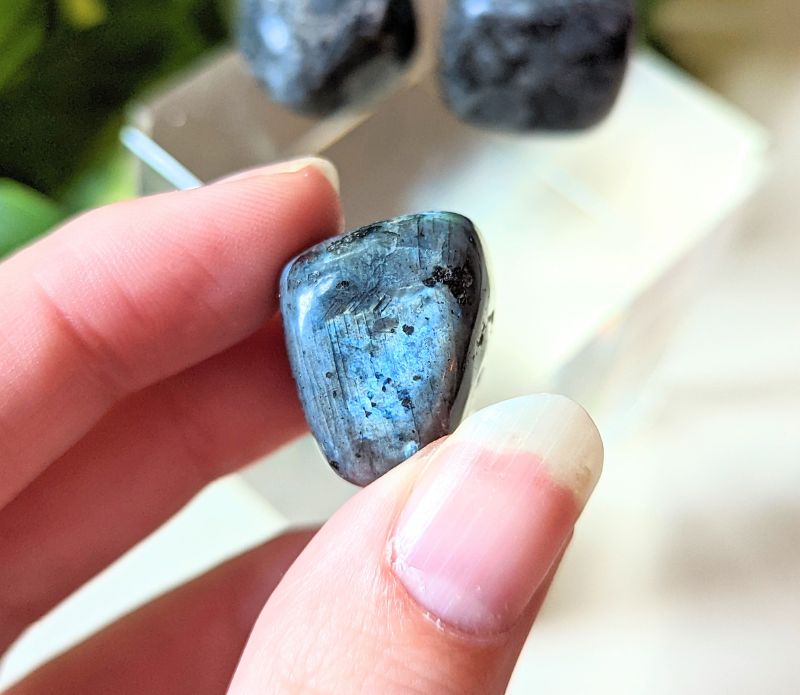 Tumbled Larvakite available at Goddess Provisions