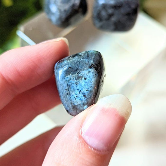 Tumbled Larvakite available at Goddess Provisions