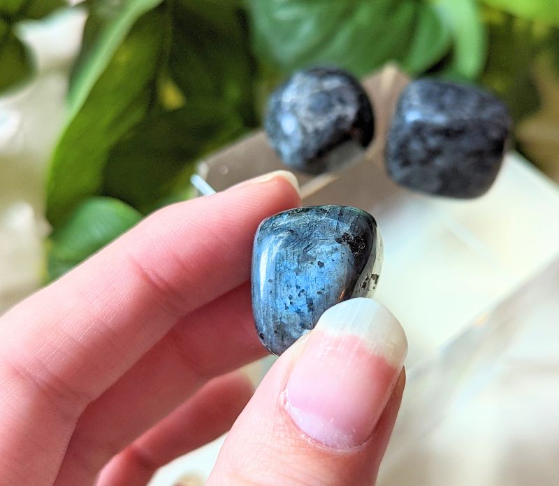 Tumbled Larvakite available at Goddess Provisions