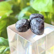 Tumbled Larvakite available at Goddess Provisions