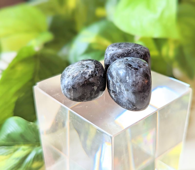 Tumbled Larvakite available at Goddess Provisions