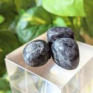 Tumbled Larvakite available at Goddess Provisions