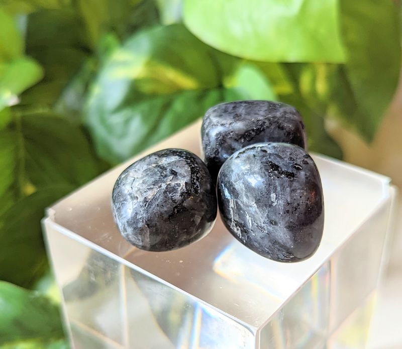 Tumbled Larvakite available at Goddess Provisions